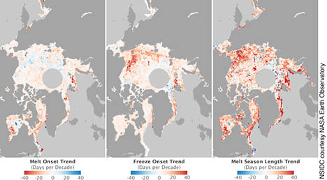Ez a térkép azt mutatja, hogy az Északi-sarkvidéken hogyan alakult ki az olvadás (balra), később hogyan kezdődött (középen), és hogyan lett az olvadás hosszan tartó (jobbra) – az elmúlt 30 év adatai alapján. Kép: NASA Earth Observatory