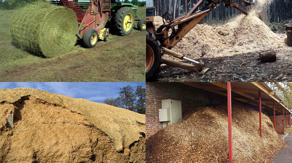 Mégsem környezetbarát a biomassza? – Alternativ Energia